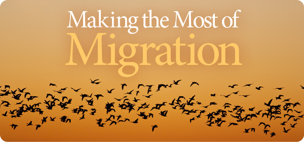 Migration